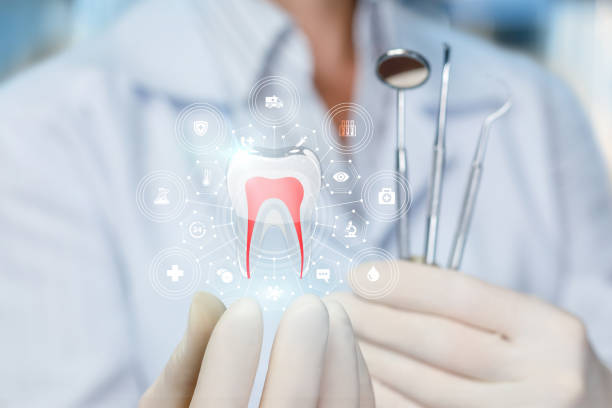 Trusted High Bridge, WA Holistic Dental Care Services Experts